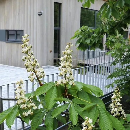 Klemmbachidyll Apartment Badenweiler Exterior photo
