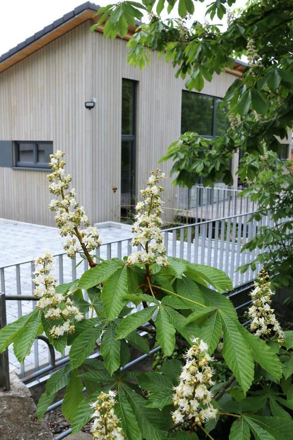 Klemmbachidyll Apartment *